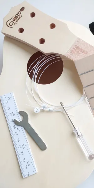 Master digital creation.